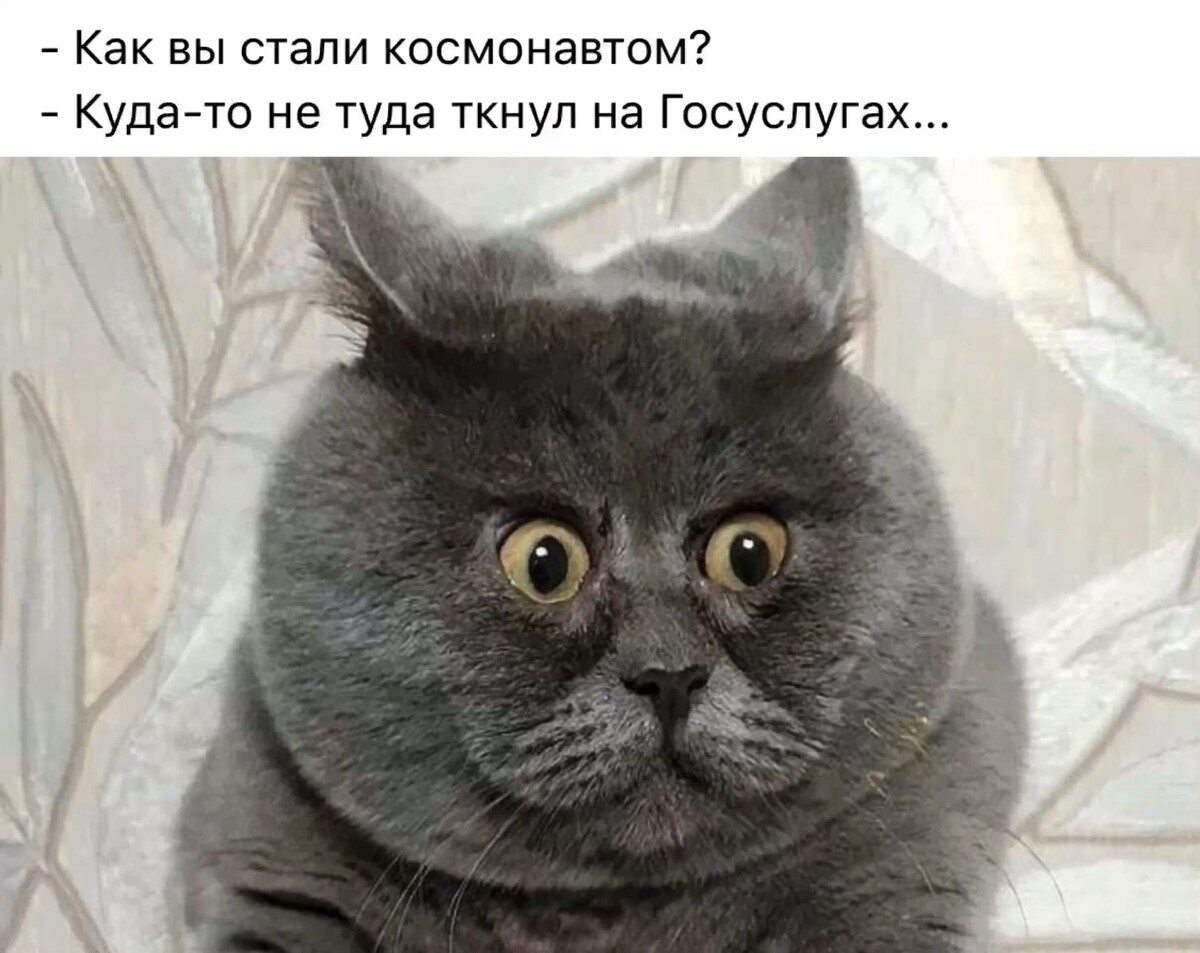 источник Яндекс-картинки