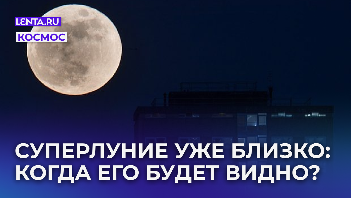 Фото: Matt Cardy / Getty Images
