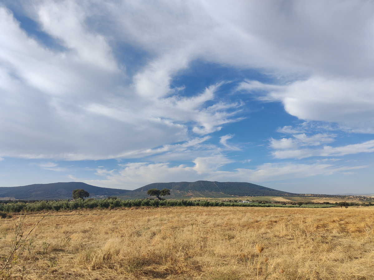Небо, поле и горы
