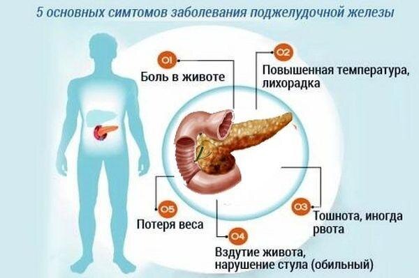 Поджелудочная «вышла из строя»: что делать, чтобы не усугубить и вернуть здоровье