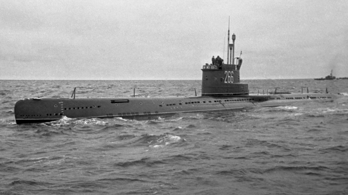 Владимир Первенцев/Sputnik