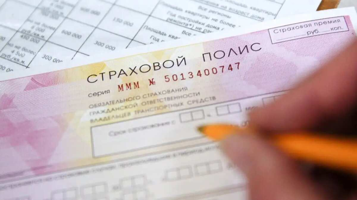    Страховой полис. © АГН «Москва»