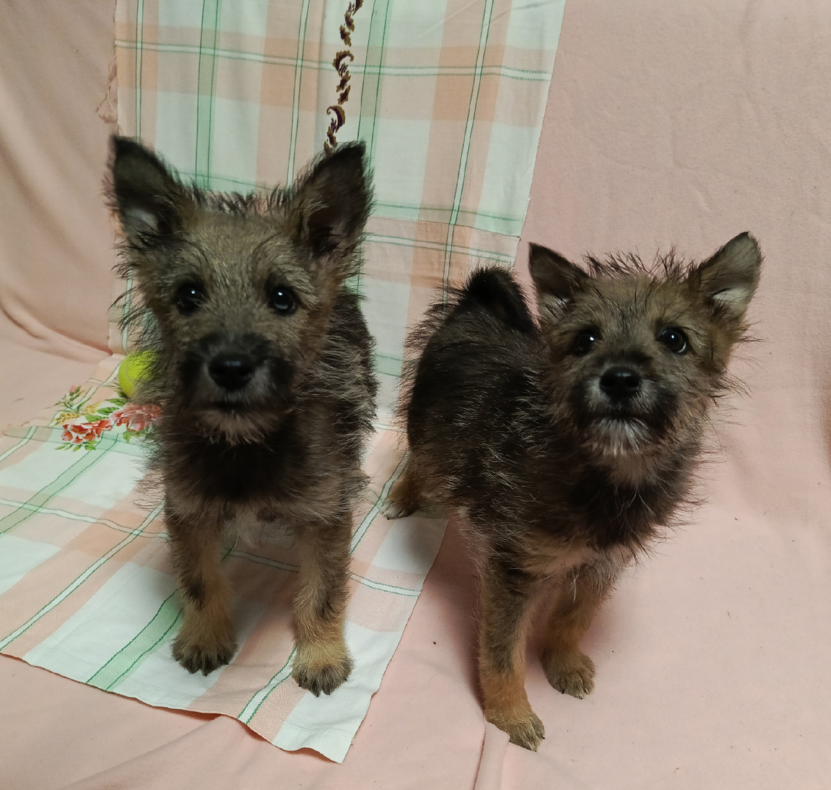 Такого очарования у нас точно не было 