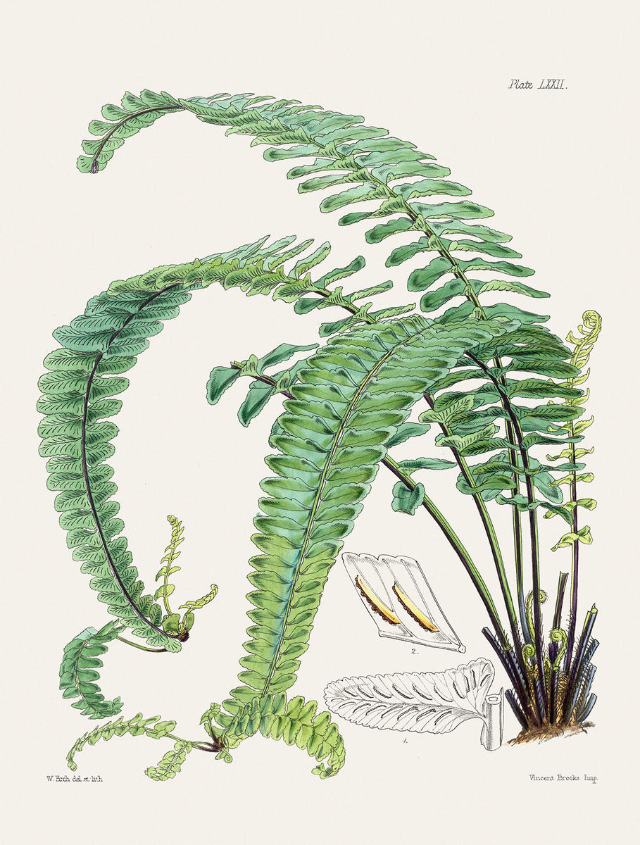 The Nature Notes / Getty Images