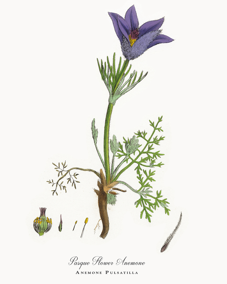 auhaus1000 / Getty Images