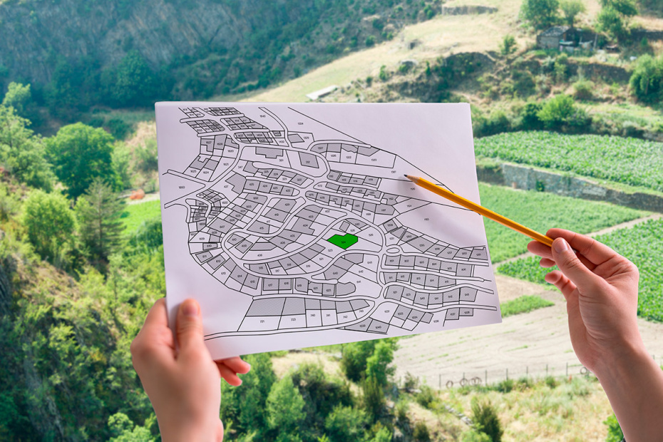    Shutterstock/FOTODOM