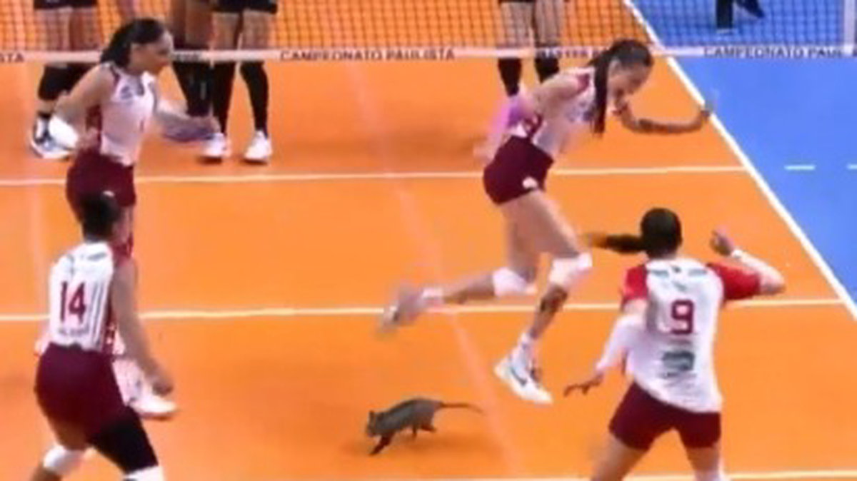    Фото: Скриншот с видео / RT на русском / Telegram