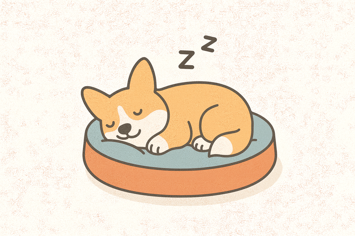 Я думала, он будет спать вот так... Реальность оказалась совсем другой