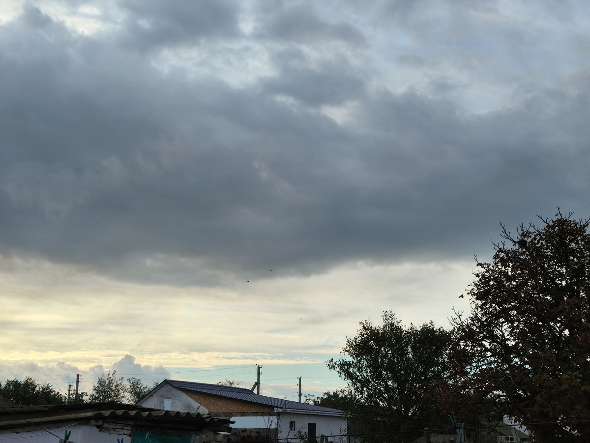 Сегодняшнее утро