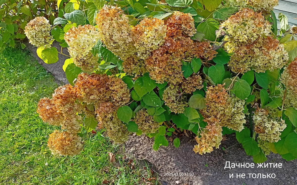 3 октября 2025