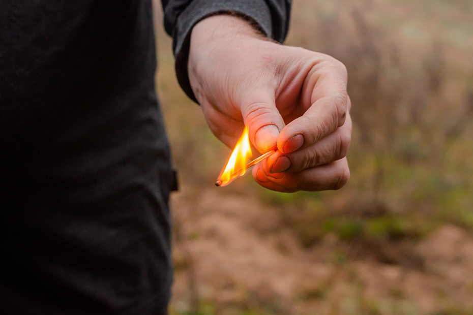    Shutterstock/FOTODOM