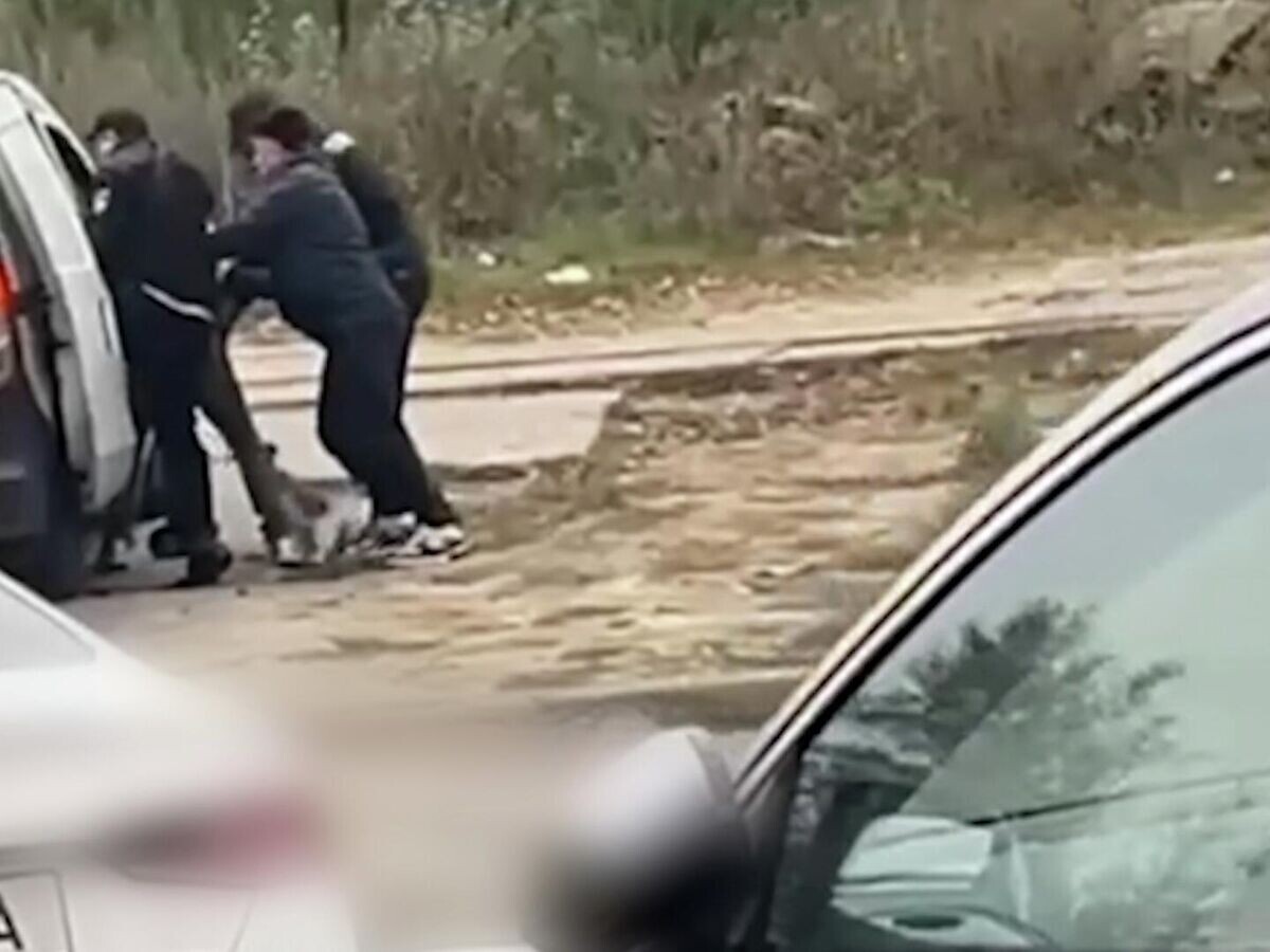    В Киеве насильно мобилизовали мужчину вместе с его собакой© украинские СМИ