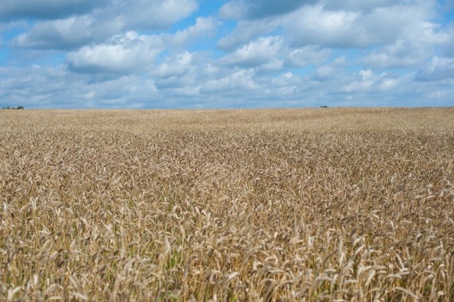   Фото из архива Калининград.Ru