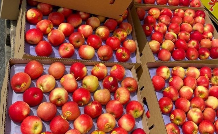    Фото: Приморское межрегиональное управление Россельхознадзора