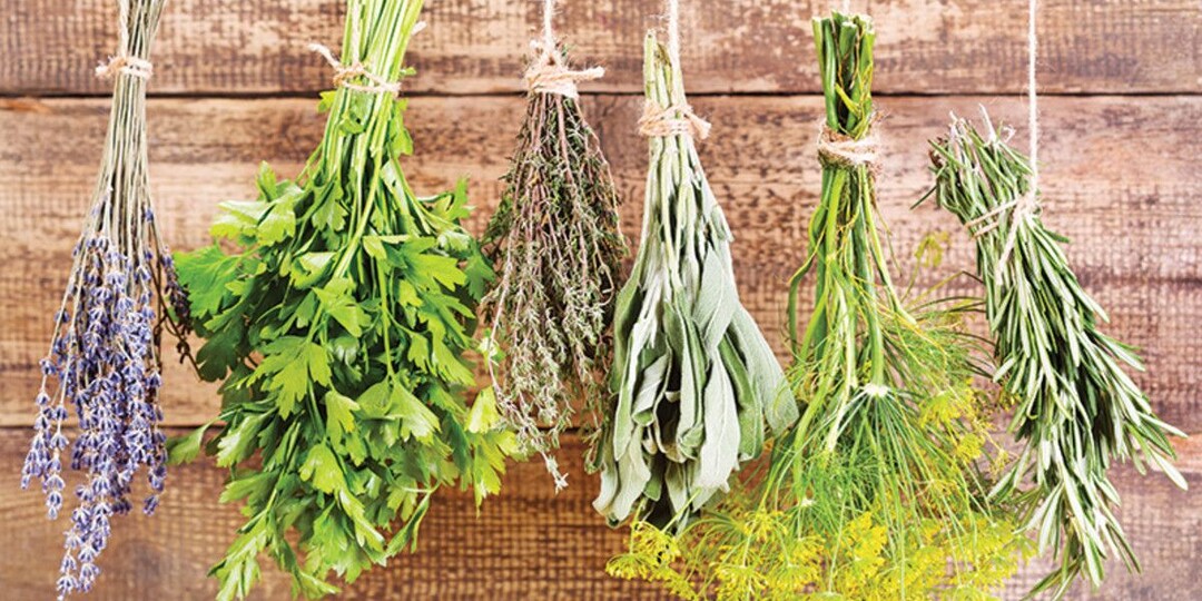 Чем приправляли еду на Руси до заморских специй: хрен, тмин и тайна старинного вкуса