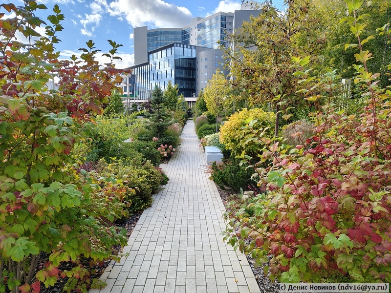 Безымянный сквер на Спартаковской