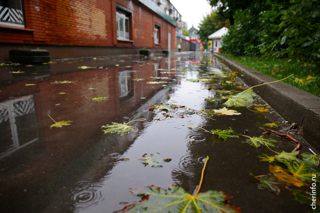    По словам синоптиков, солнечный антициклон окончательно покинул регион.