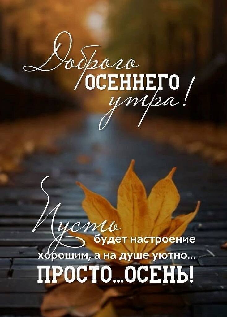 Из открытых источников интернета. 