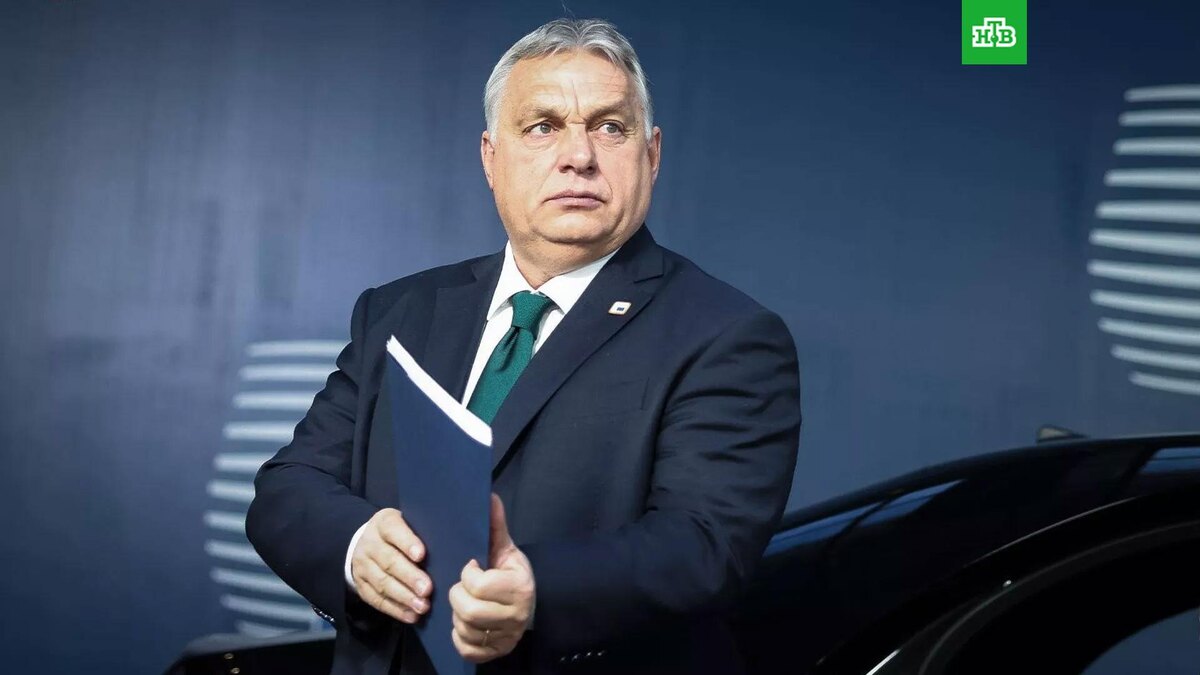    Фото: соцсети / Виктор Орбан