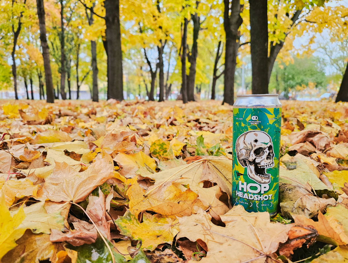 Hop Headshot: Bru-1, фото автора