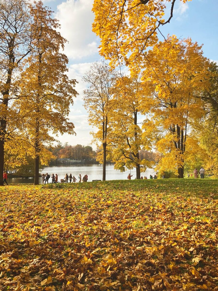 Та самая золотая осень