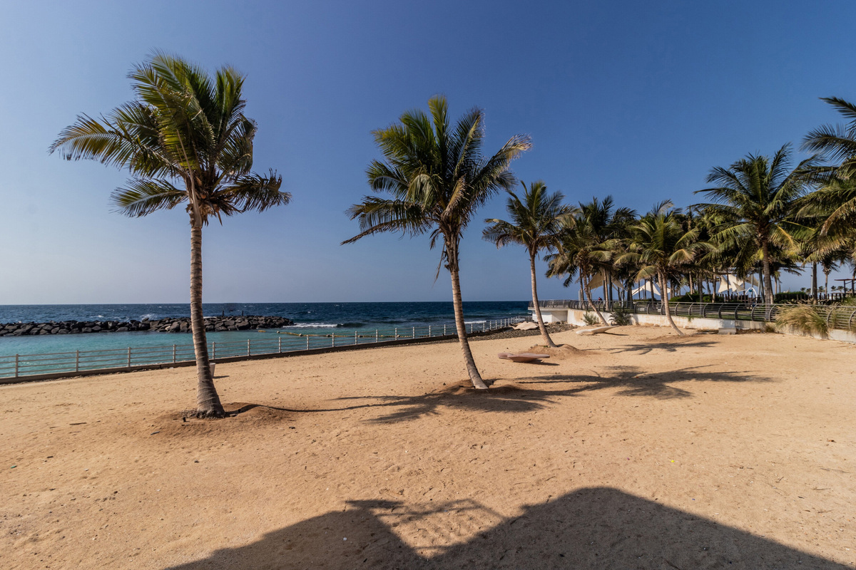 Почти всё побережье города — это обустроенные пляжи или набережные. Добраться от одной точки до другой можно пешком или на такси — всё рядом. Фото: Shutterstock
