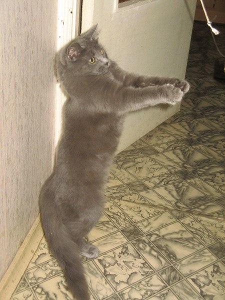 Пуссильда. Здесь она совсем молодая, городская, нецелованная.