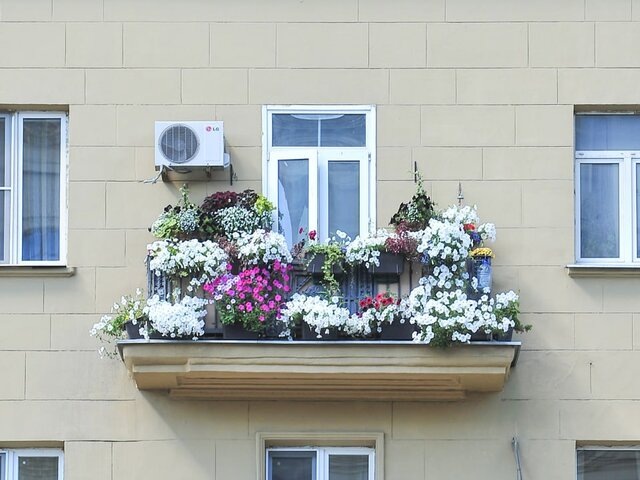    Фото: портал мэра и правительства Москвы