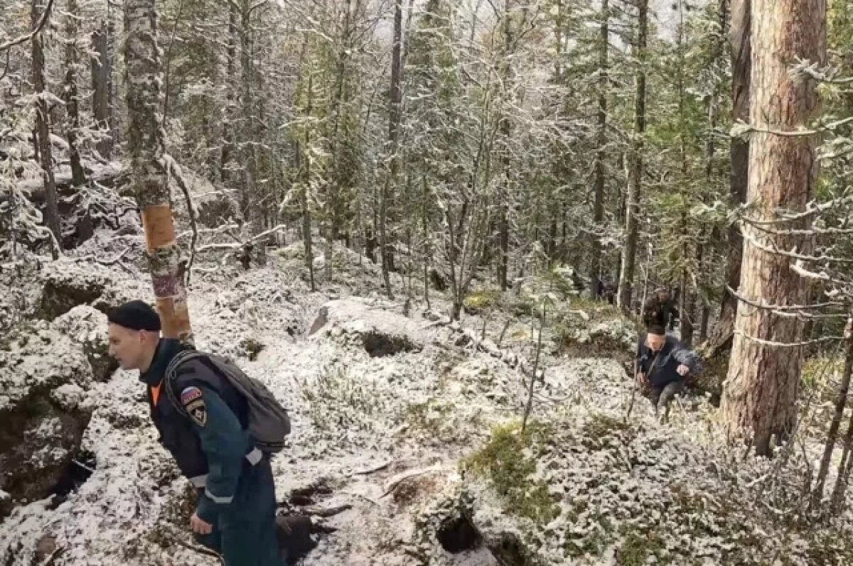    Куда пропали Усольцевы: названы все версии исчезновения семьи в лесу Сибири