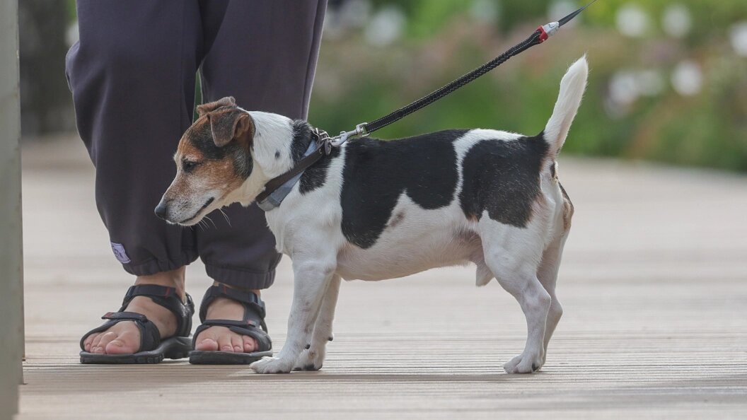    Фото: Shatokhina Natalia/Globallookpress