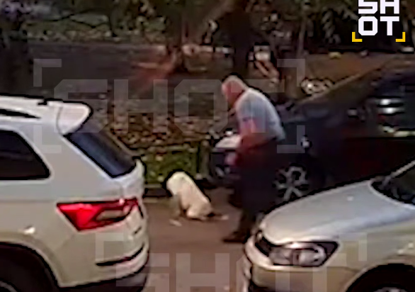    Фото: t.me/shot_shot/87549