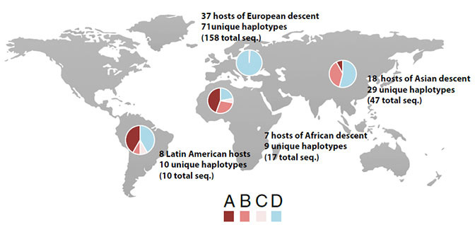 Распространённость групп угревых клещей.