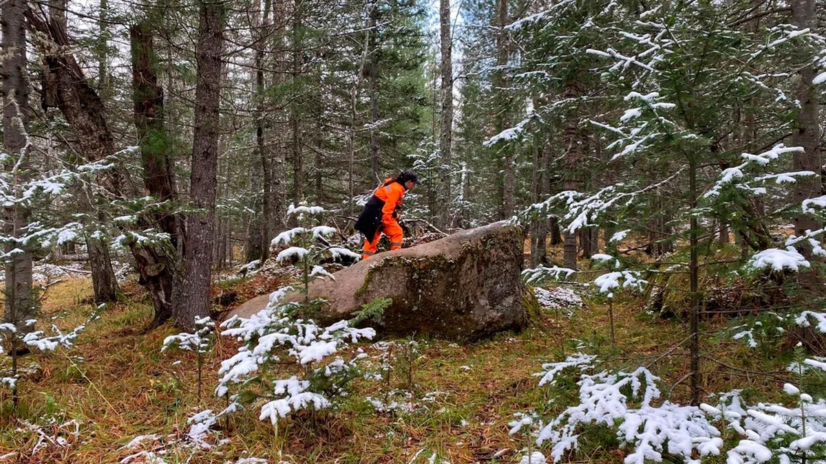 Поисковики в тайге . фото: картинки яндекс