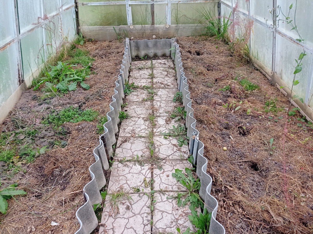 Вот так выглядит теплица после того как томаты из нее выбраны - в ней еще работать и работать