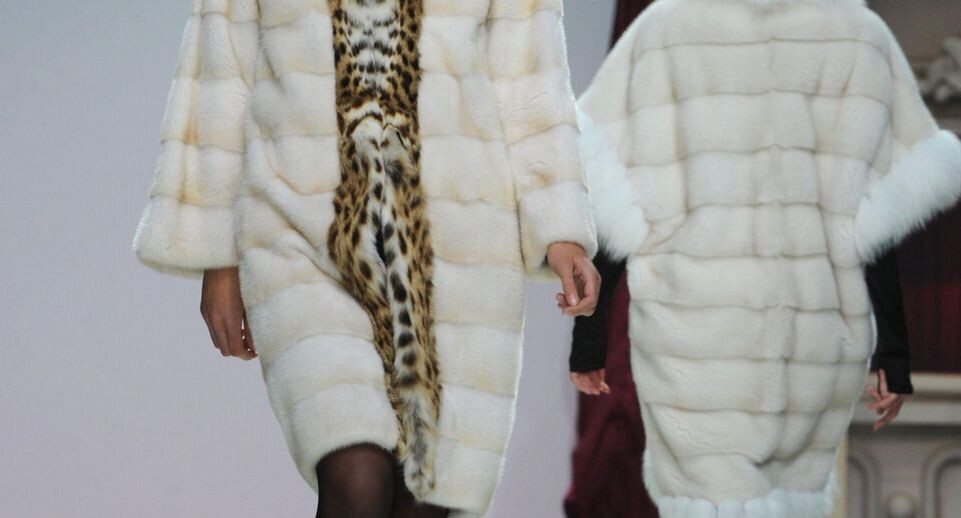    РИА «Новости»