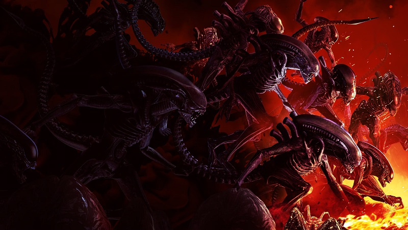  📷    Источник изображений: Focus Entertainment