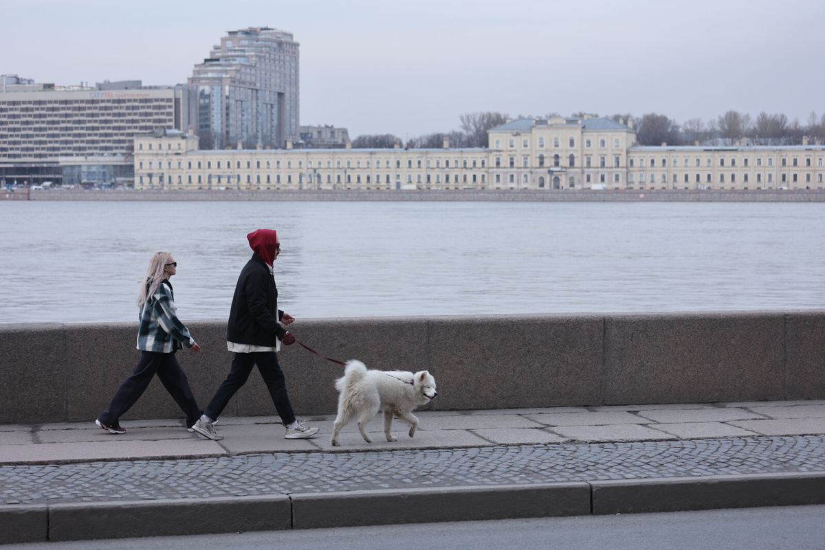 Фото: Дмитрий Фуфаев
