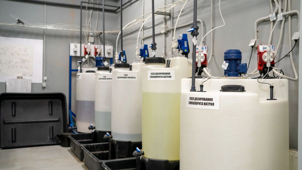    Фото: Сергей Зубков /«Ямал-Медиа»