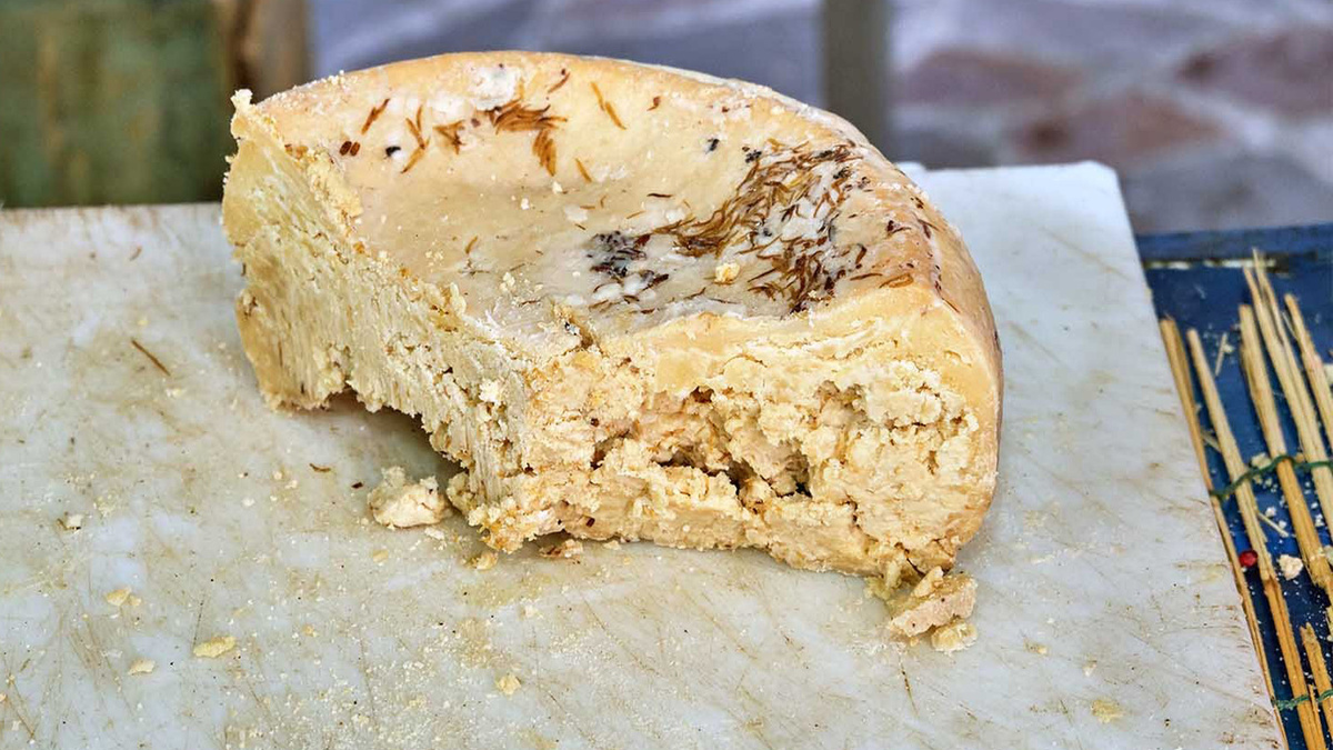 Казу Марцу с личинками