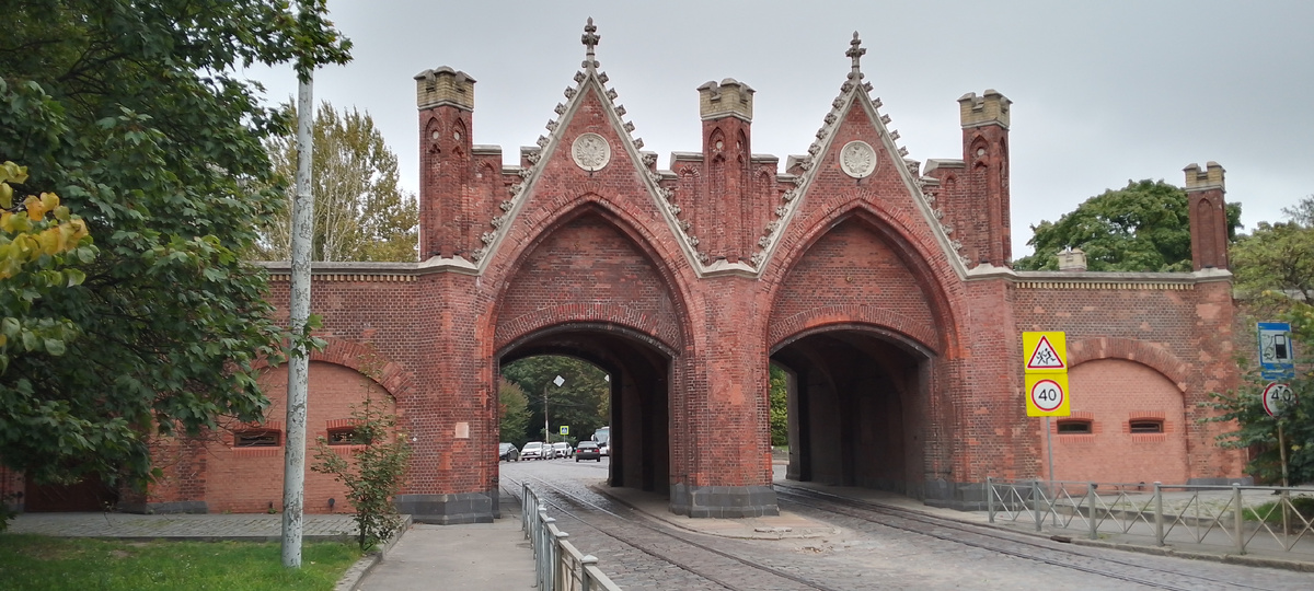 Бранденбургские ворота, ул. Багратиона, д. 137