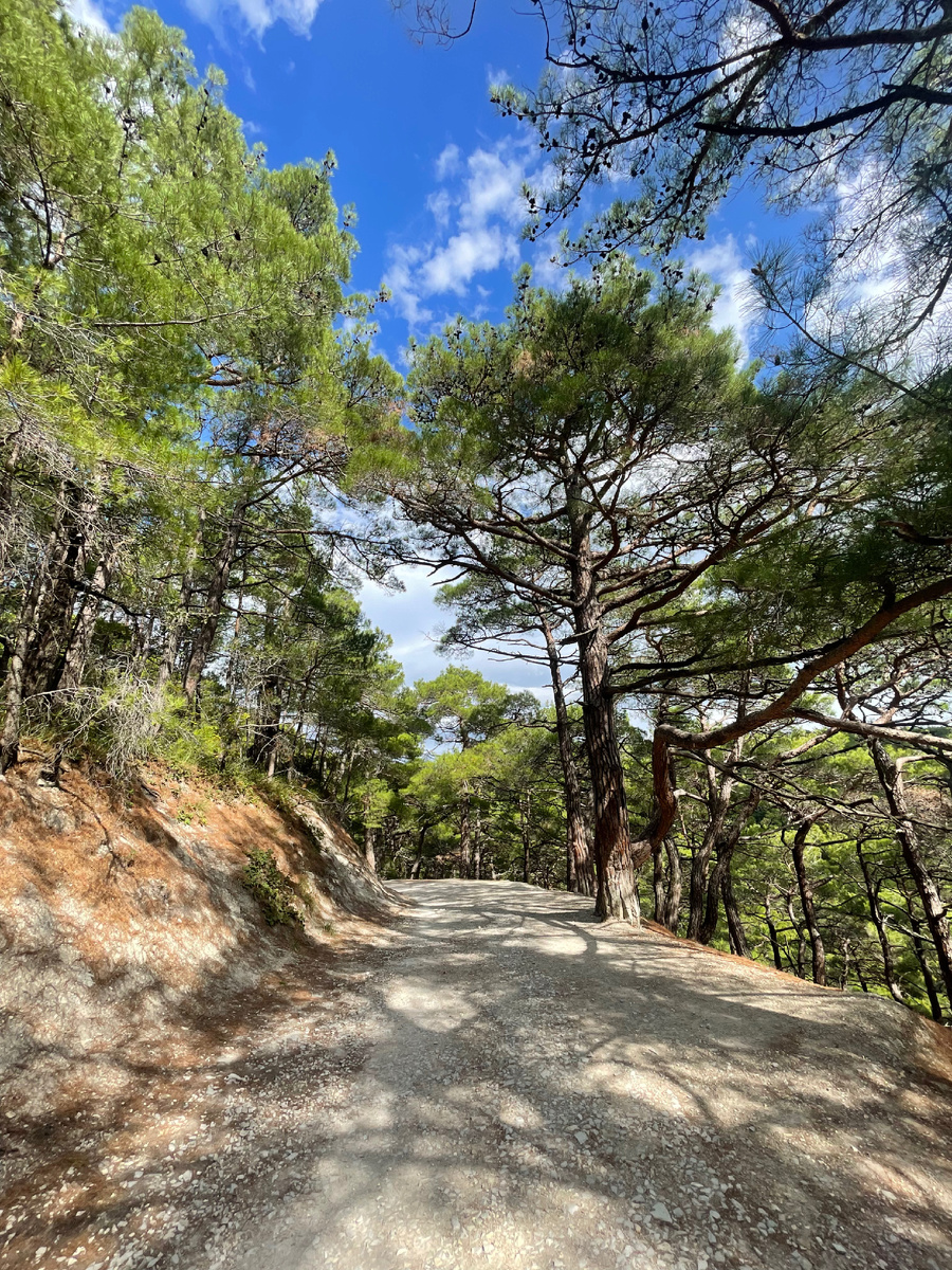 По дороге к морю