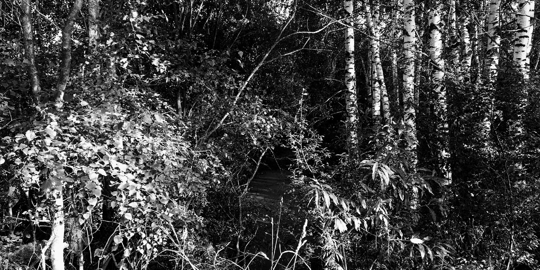 Призрак в моей машине. Короткий рассказ-страшилка.