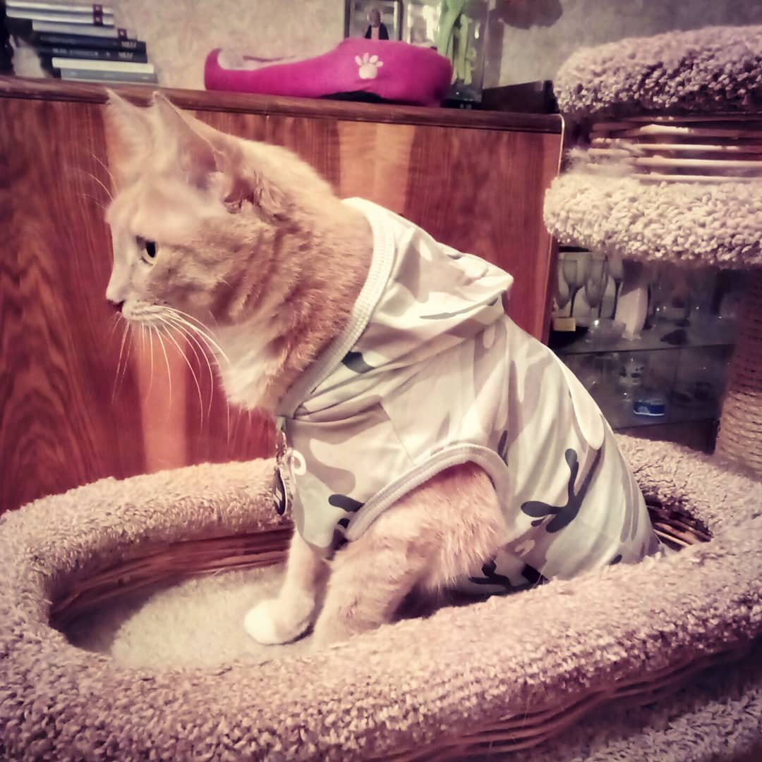 Слышь, семки есть? А если найду?