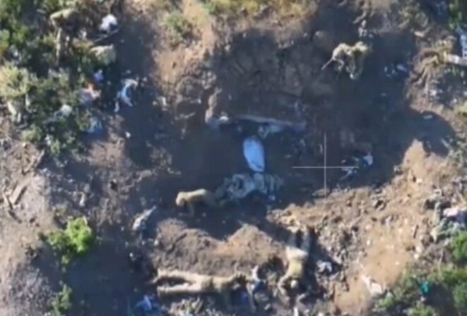    Фото: Кадр из видео