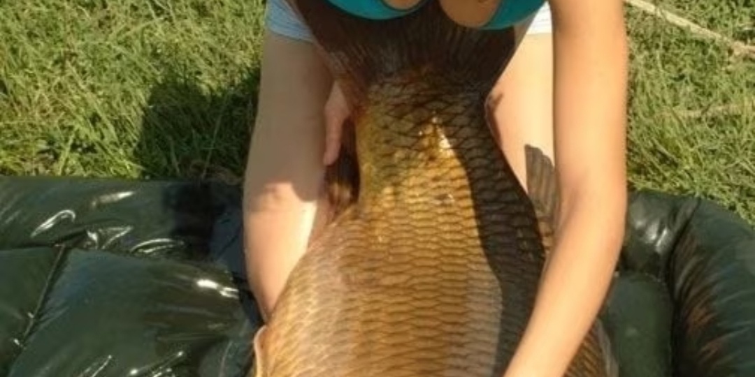 Как поймать трофейного карпа? Хитрости от рыболовов-спортсменов