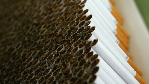    © Sputnik / Руслан Кривобок