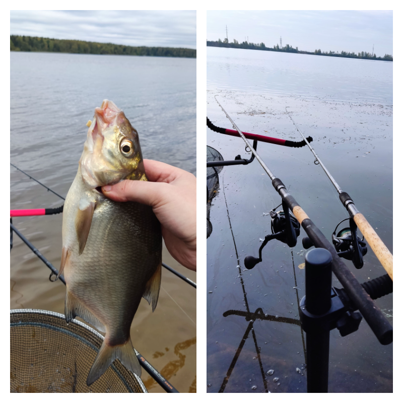 KDF Futura или будущее от KDF. Обзор фидерной катушки.