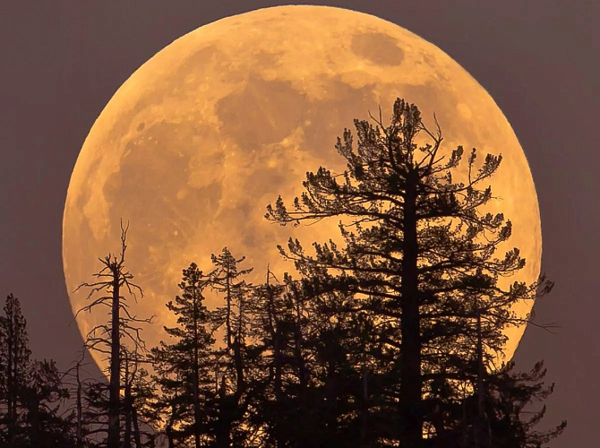    Фото: Лаборатория солнечной астрономии ИКИ и ИСЗФ Веселовские вести