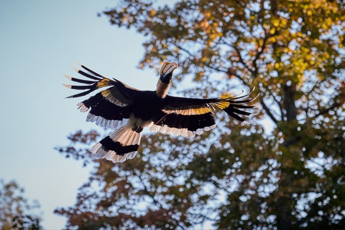 © Светлана Сорокина