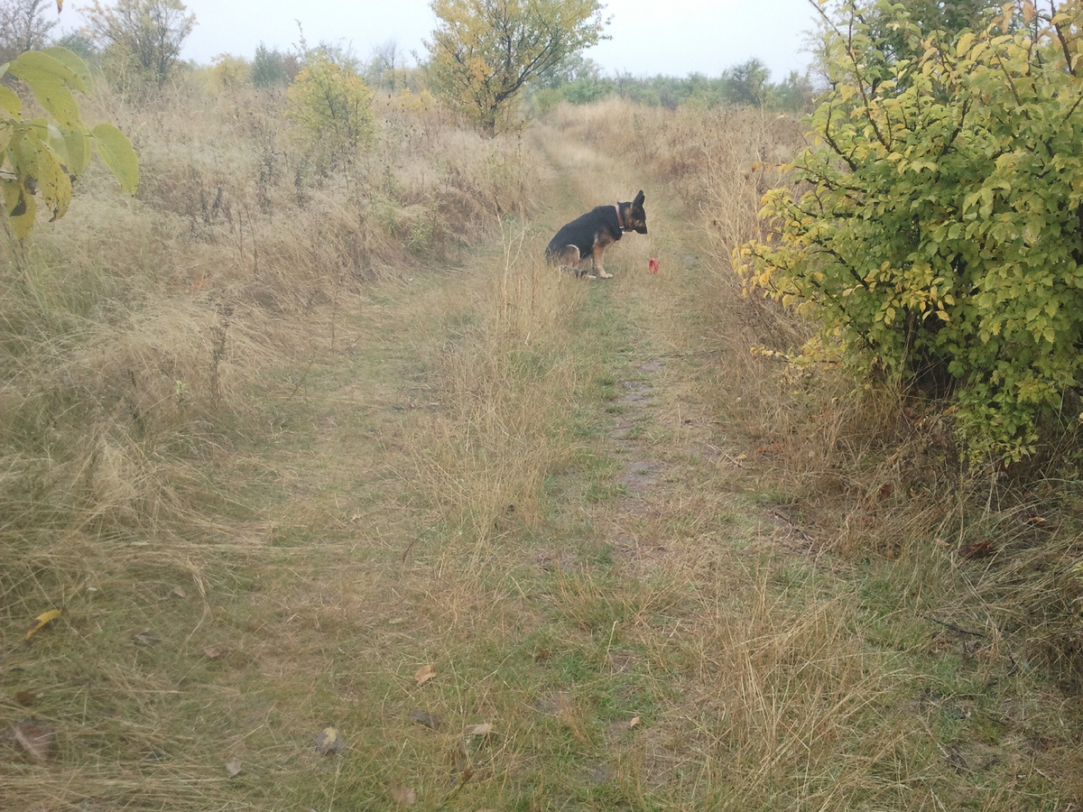 Фото автора